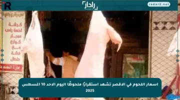 أسعار اللحوم في الأقصر تشهد استقرارًا ملحوظًا اليوم الأحد 10 أغسطس 2025